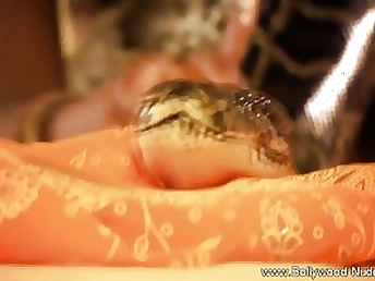 Exotic oriental teenager gets her puffies swell from toying with her humungous pet snake on the bed