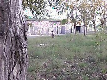 Insatiable girl dressed in a microskirt flashing her cunt in public